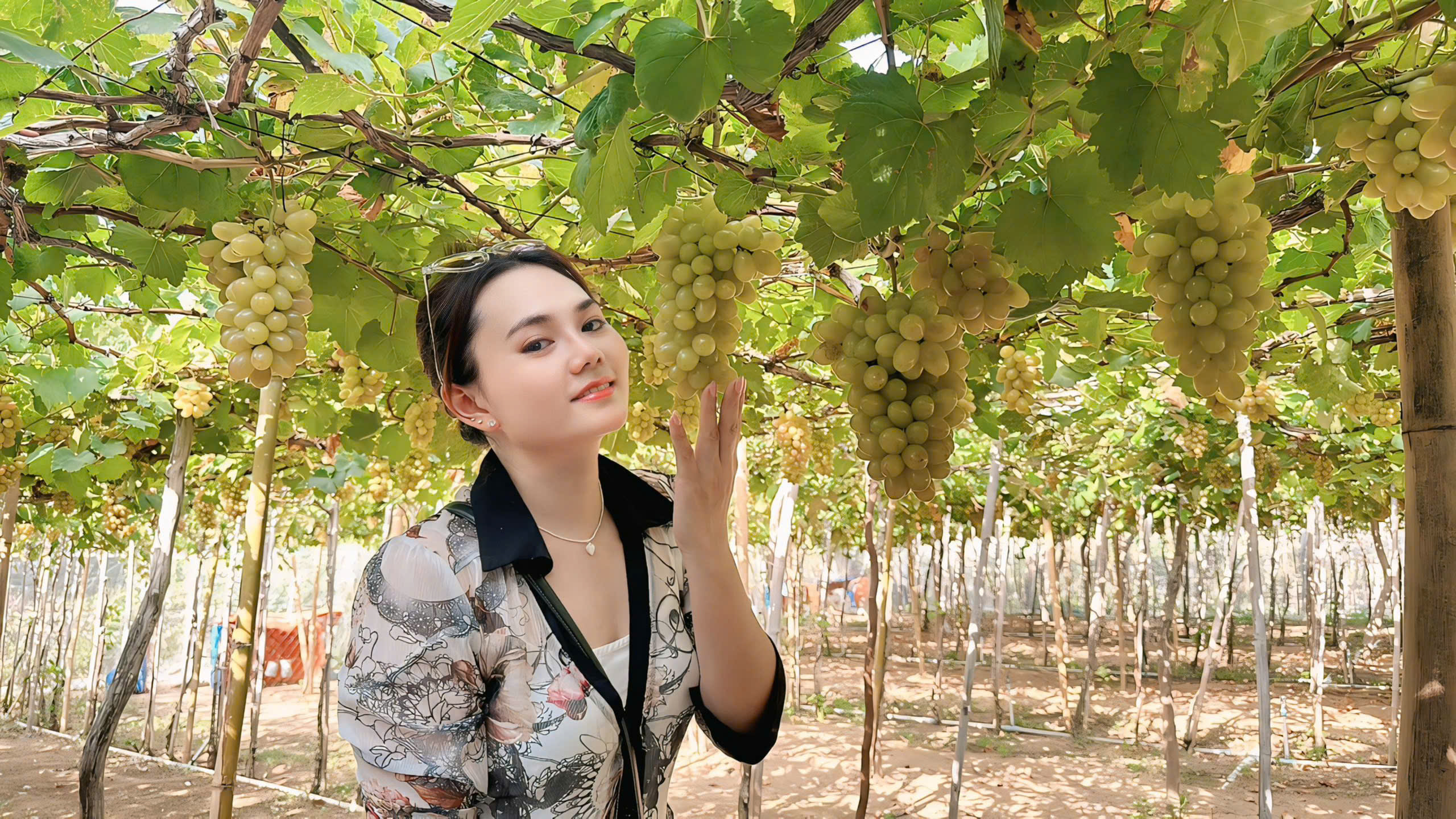 Khám Phá xs mn cn – Cổng Ngõ Giải Trí Tuyệt Vời