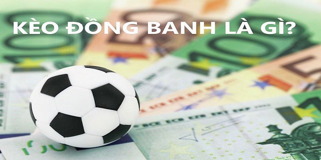 Khám Phá Thế Giới Đầy Thú Vị Của sunwin pazari - Nơi Đam Mê & Cơ Hội Gặp Nhau